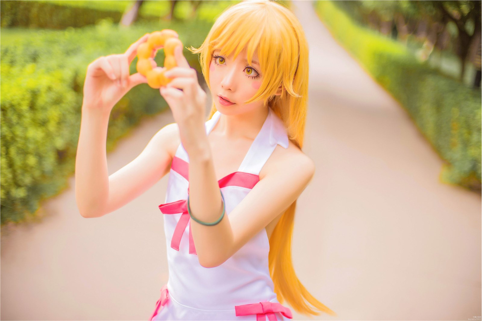 Star's Delay to December 22, Coser Hoshilly BCY Collection 9(119)